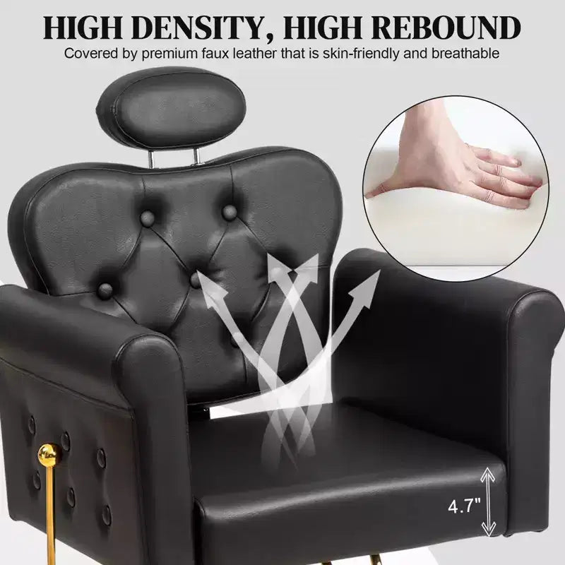 Karl Home Black Gold Heavy Duty Hydraulic Reclining Hair Stylist Salon Chair with Headrest