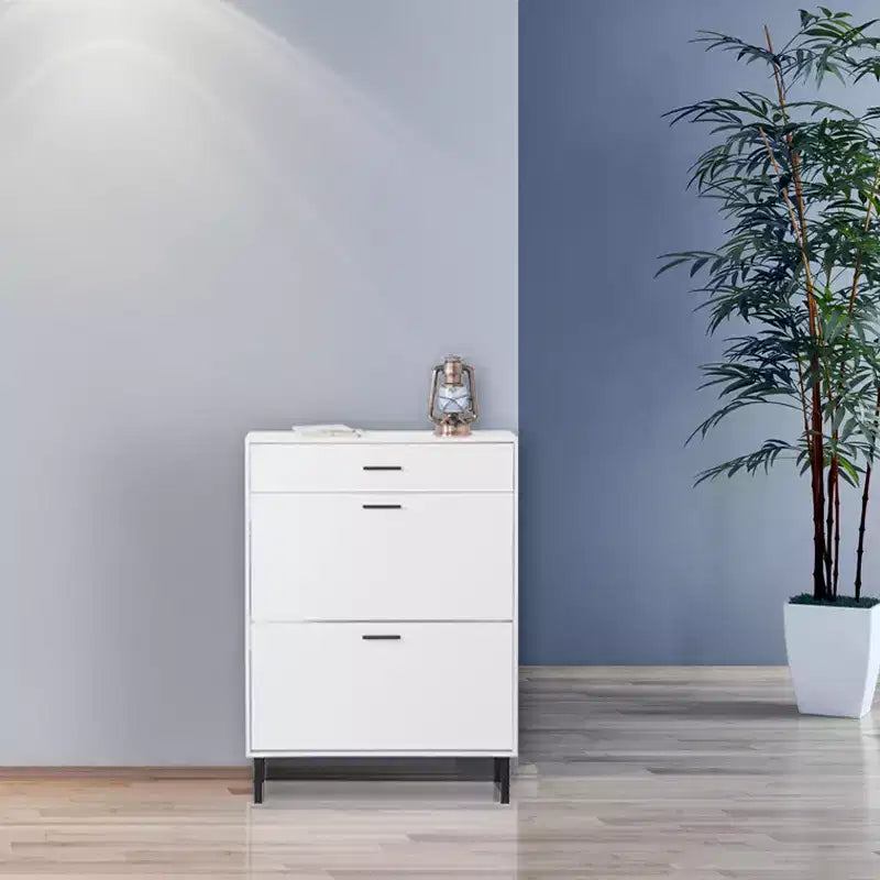 MAYEERTY Shoe Cabinet Freestanding Shoe Rack Storage Organizer with Drawers Metal Legs Modern 2 Flip Drawers for Entryway