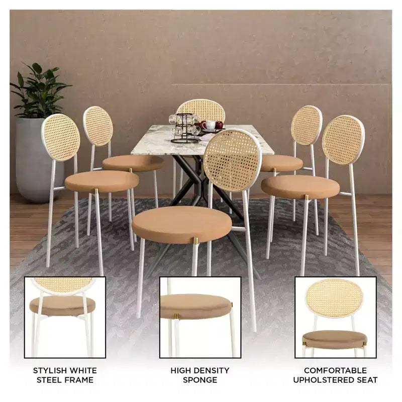 LeisureMod Euston Velvet Rattan Open Back Dining Chairs Set of 4  Stainless Steel Base, Comfortable Modern Seating for Kitchen, Dining Room, Cafe