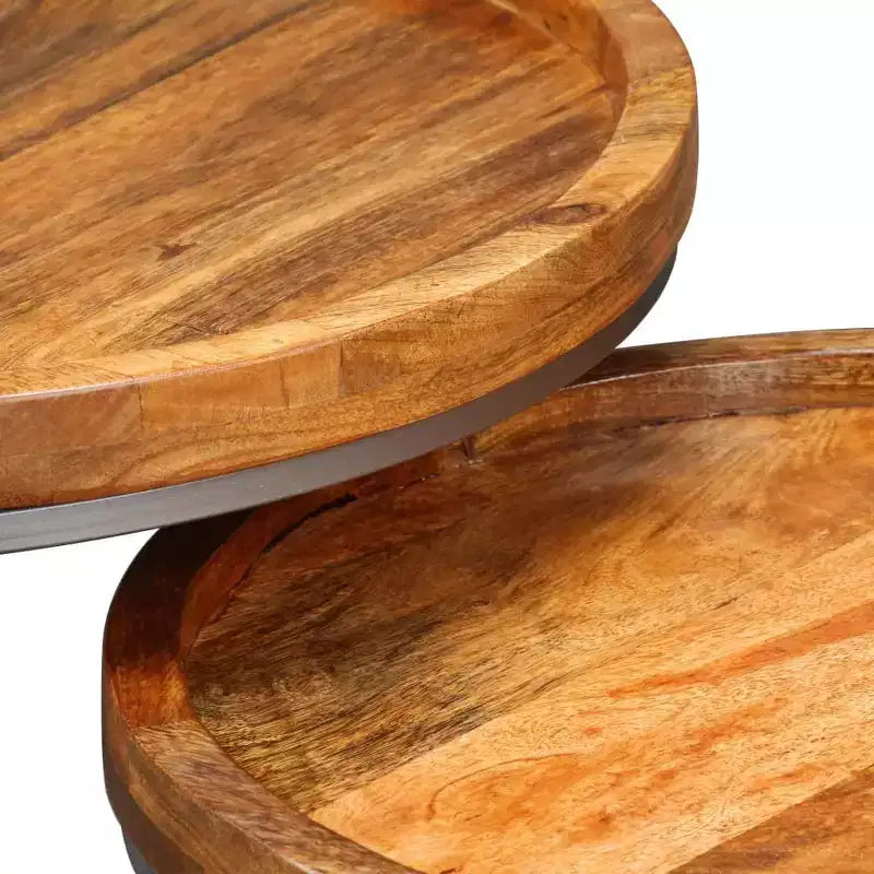 vidaXL Tables d'appoint 2 pcs Bois de manguier massif