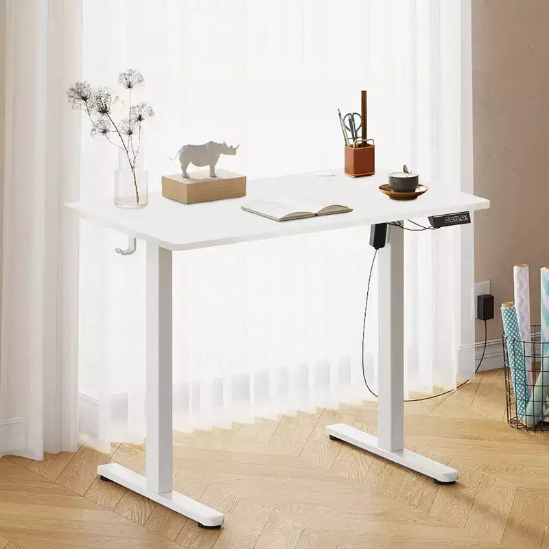 DEXYLLO 40x24 Electric Standing Desk, One-Piece Desktop with 3 Height Memory Settings, Adjustable Computer Desk for Home Office Sit-Stand
