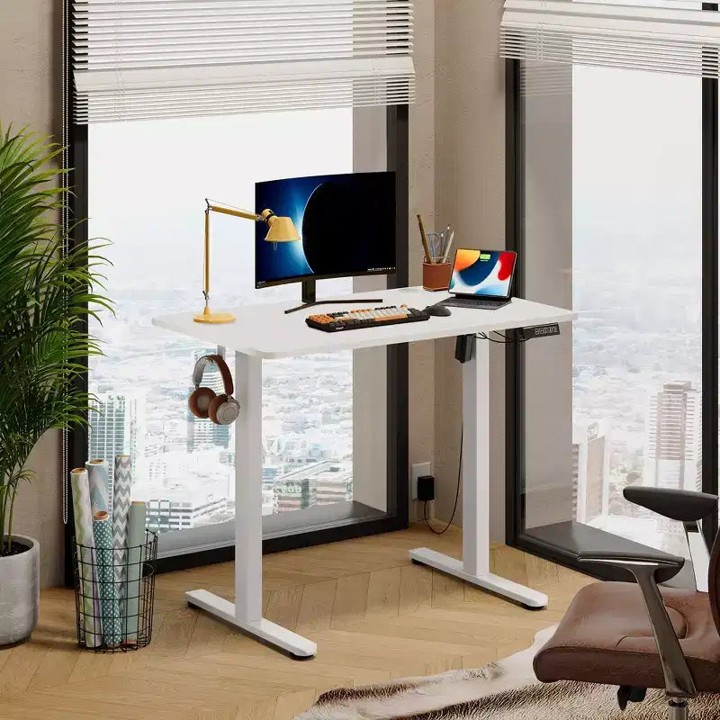 DEXYLLO 40x24 Electric Standing Desk, One-Piece Desktop with 3 Height Memory Settings, Adjustable Computer Desk for Home Office Sit-Stand