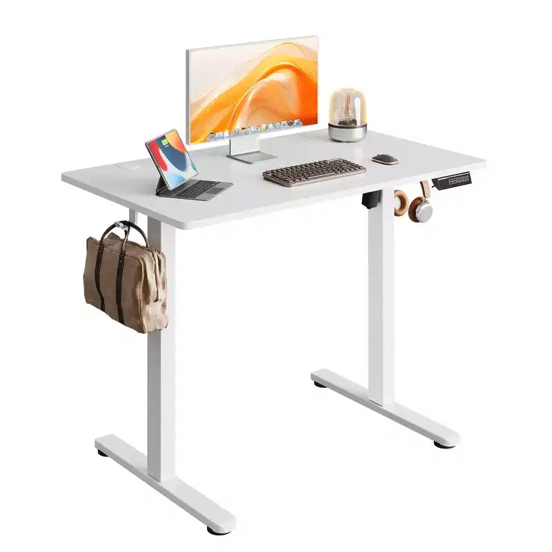DEXYLLO 40x24 Electric Standing Desk, One-Piece Desktop with 3 Height Memory Settings, Adjustable Computer Desk for Home Office Sit-Stand