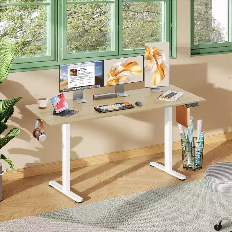 DEXYLLO 71 Inch Electric Standing Desk, Ergonomic Sit-to-Stand Desk with LED Touchscreen, 3 Memory Presets & Hook for Home Office