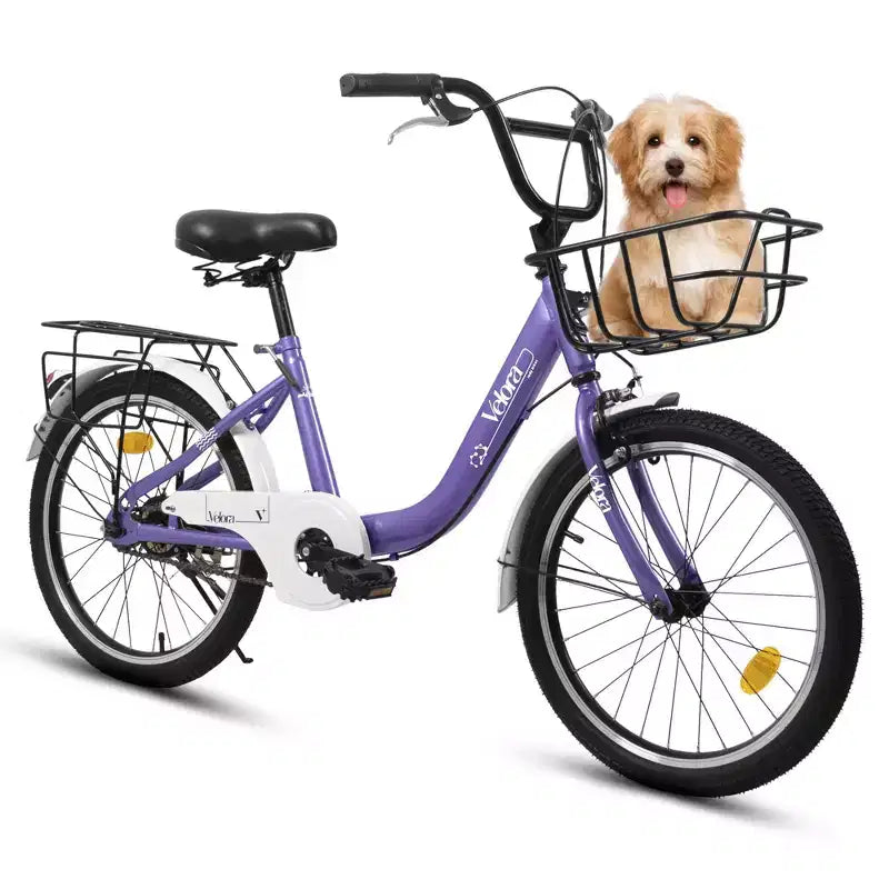 Vélo Okak 20 pouces pour enfant avec cadre en acier léger, vélos cruiser pour enfants avec frein à rétropédalage et frein en V, mini-vélo avec protège-chaîne et porte-bagages arrière