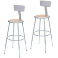 Hampden Furnishings 2pk 25"-33" Adjustable Heavy Duty Steel Barstool with Backrest Gray
