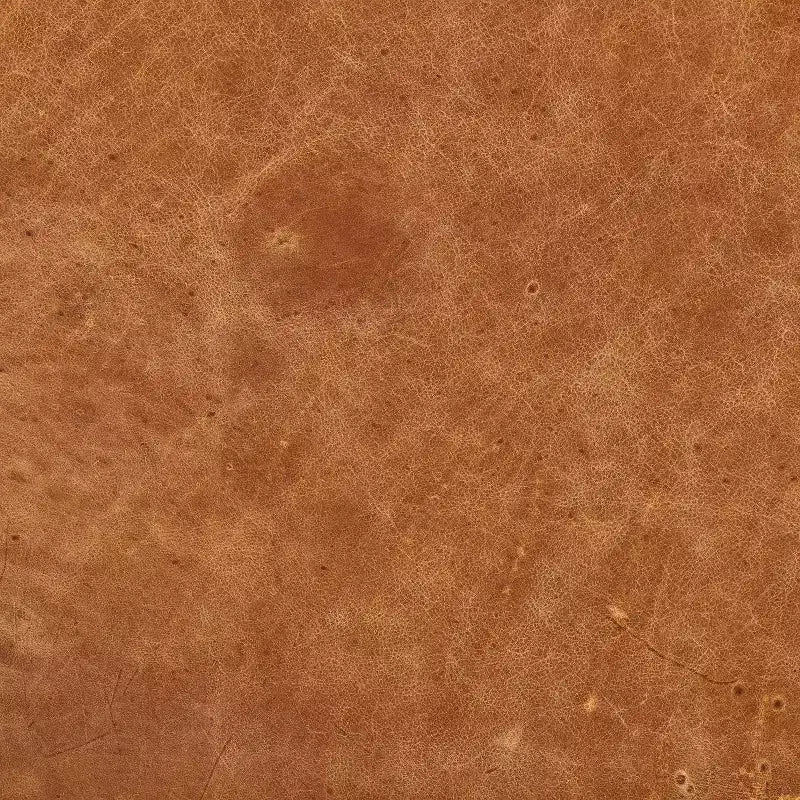 Poly & Bark Gio Italian Leather Ottoman Cognac Tan: Upholstered Padded Seat, Wood Frame, Oval Shape, 17" Height