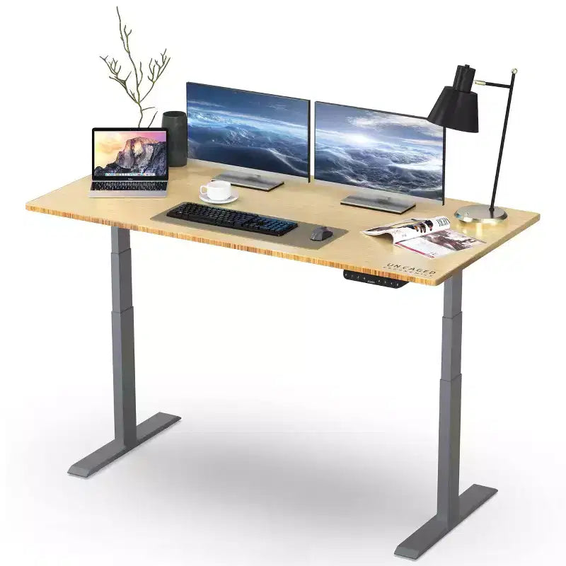 48"x30" Electric Standing Desk with Adjustability ( 26.1"-51.6") Natural Bamboo Gray - Uncaged Ergonomics
