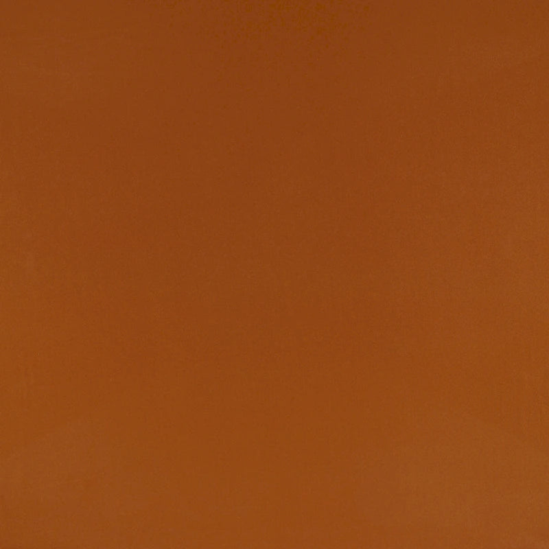 Trupedic Full-size 6-inch Futon Mattress without Frame (Mattress Only)