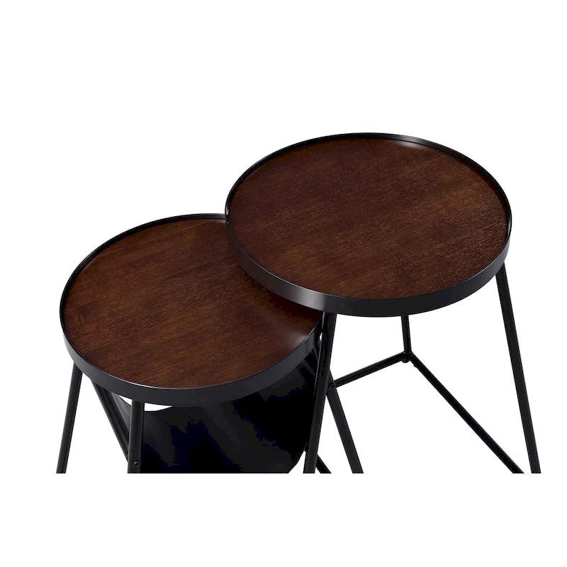 Leestra Modern Matte Black 20-inch Steel 2-Piece Nesting Tables Set by Furniture of America