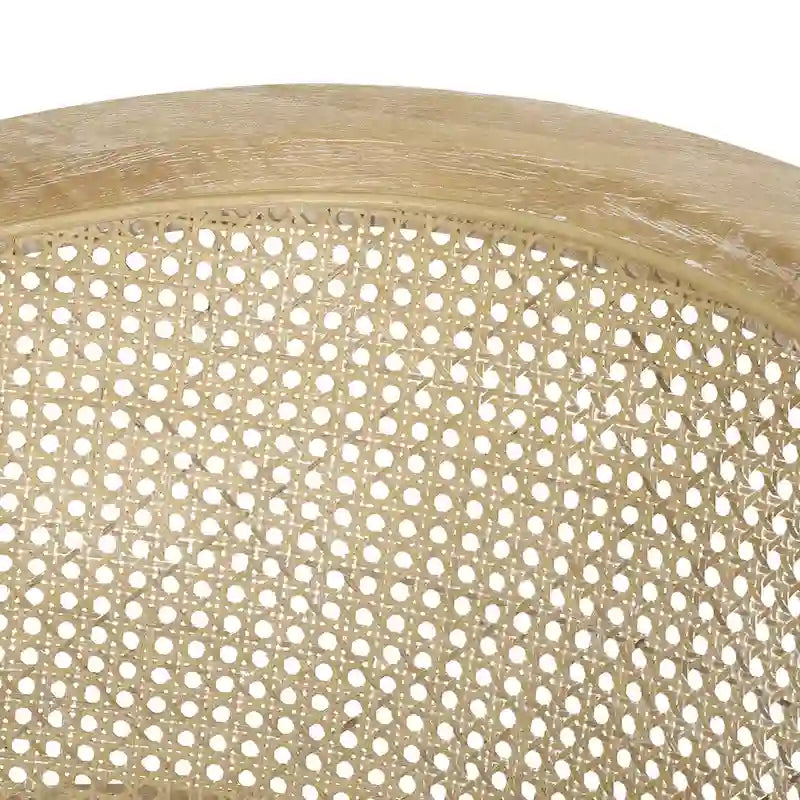 Steinaker Wood and Cane Accent Chair by Christopher Knight Home