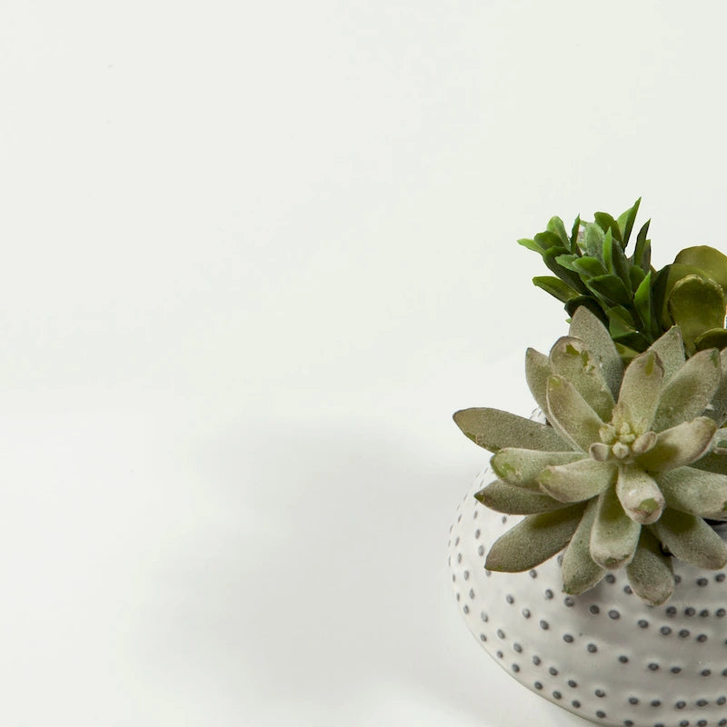 Porch & Den Madrid 8 Drawer Double Dresser