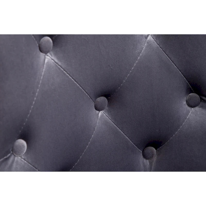 Roundhill Furniture Montura Tufted Velvet Chair (Set of 2)