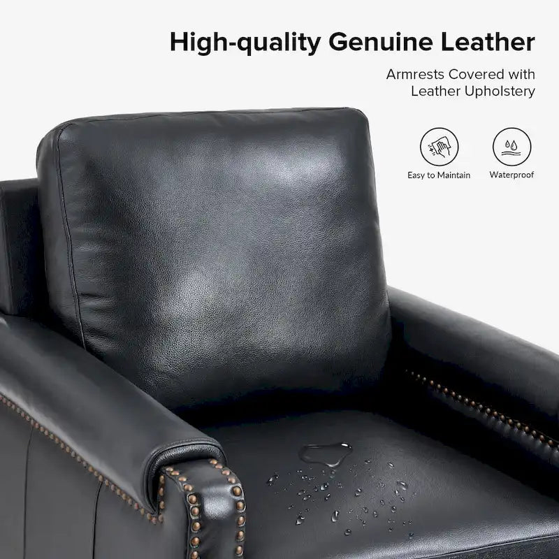 Kunz Transitional Genuine Leather Armchair with Removable Cushion and Nailhead Trims Set of 2 by HULALA HOME