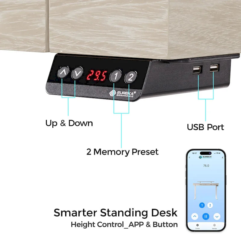 Eureka Ergonomic 55  Slate Stone Standing Desk Executive Writing Desk with 2 Drawers & Monitor Stand