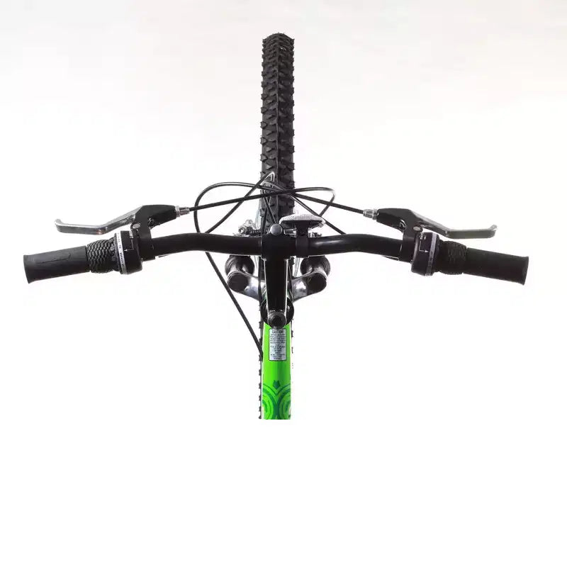 Vélo de montagne Titan Trail pour hommes, 21 vitesses, avec suspension, cadre 18 pouces, vert et noir