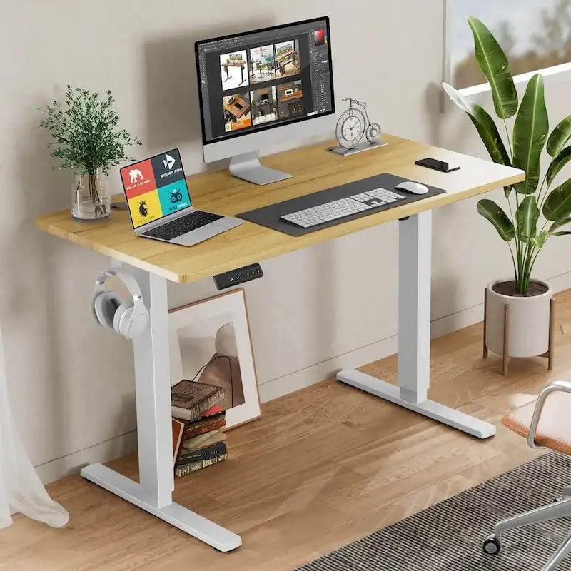 Electric Height Adjustable Standing Desk,Sit to Stand Ergonomic Computer Desk, 55  x 24