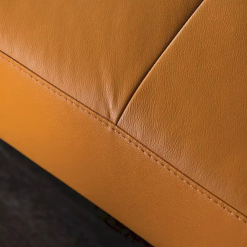 Furniture of America Jacques Modern Low Profile Leather L-Shaped Sectional with Chaise